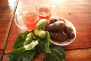 Read more about the article Noni  Morinda Citrifolai